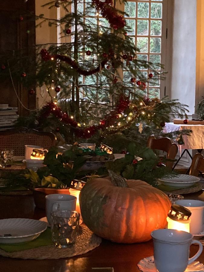 Bed and breakfast Chateau De Durianne
